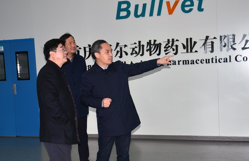 西南大学新任党委书记李旭锋参观调研布尔公司 第 1 张